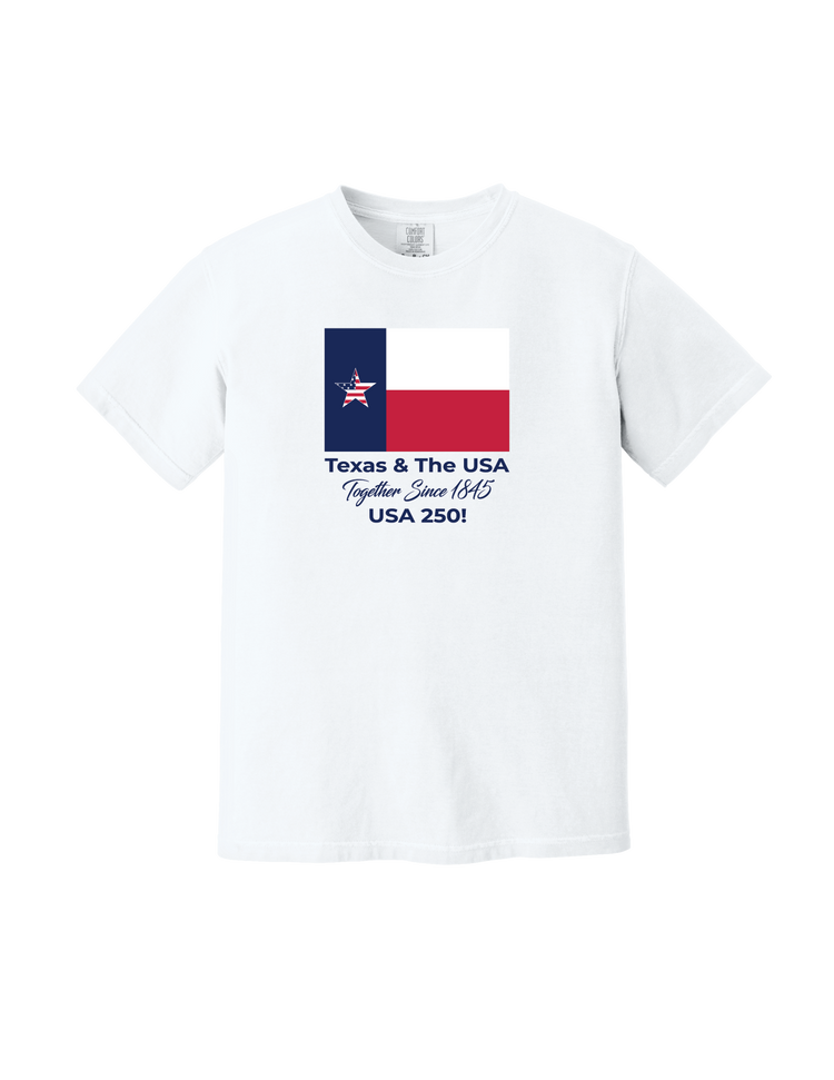 Texas and USA T-Shirt