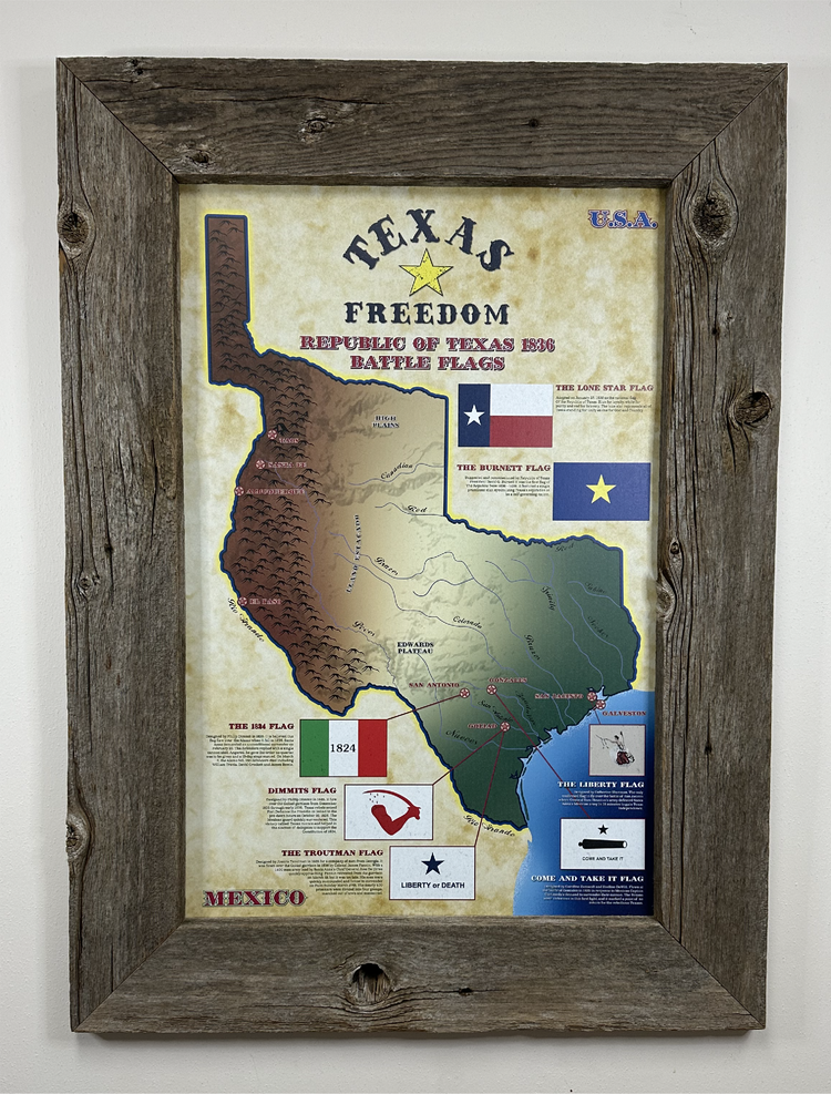 Framed Republic of Texas Battle Flag Print