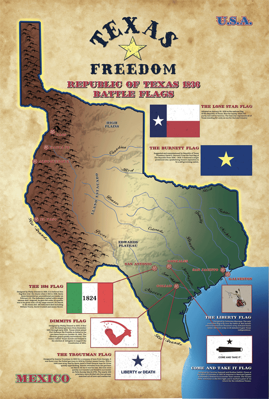 Unframed Republic of Texas Battle Flag Poster Print