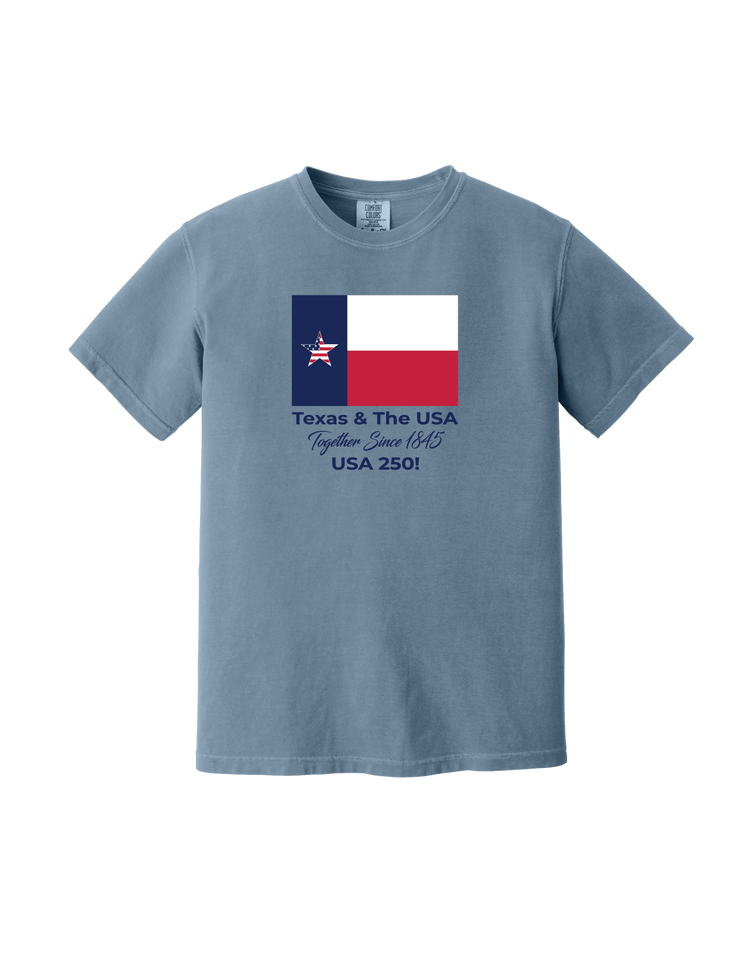 Texas and USA T-Shirt