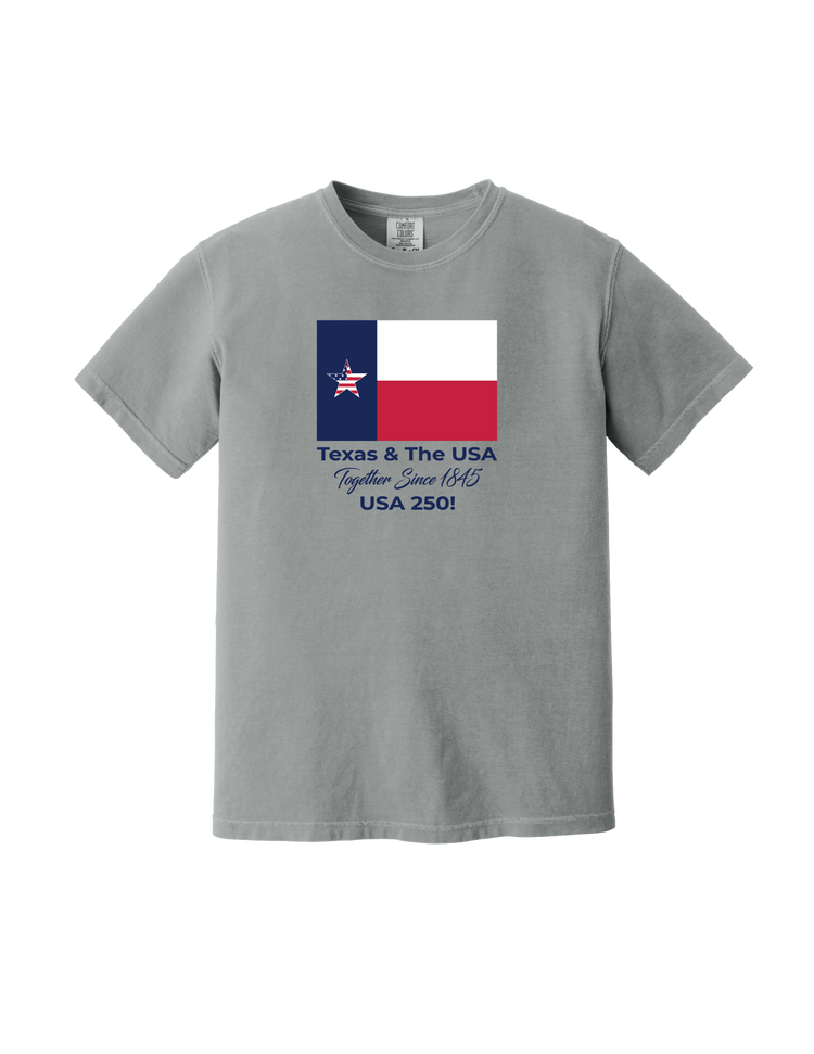 Texas and USA T-Shirt