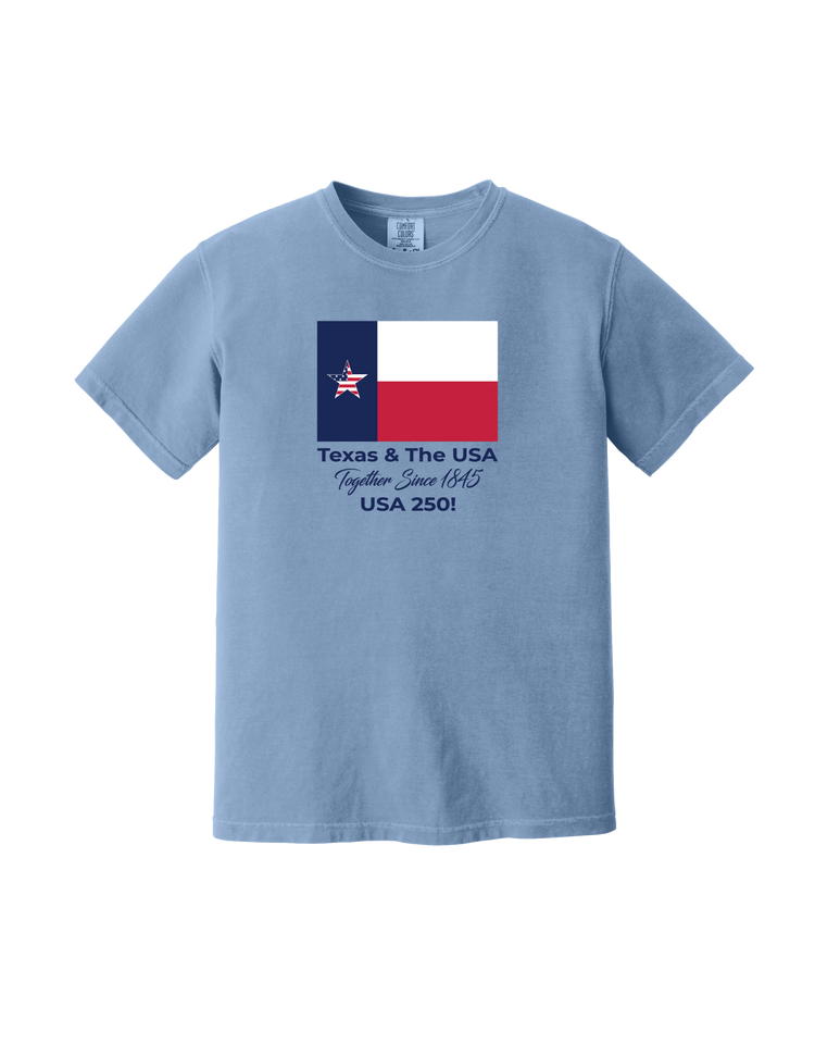 Texas and USA T-Shirt