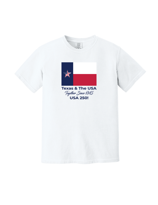 Texas and USA T-Shirt